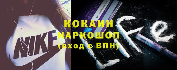 дживик Майский