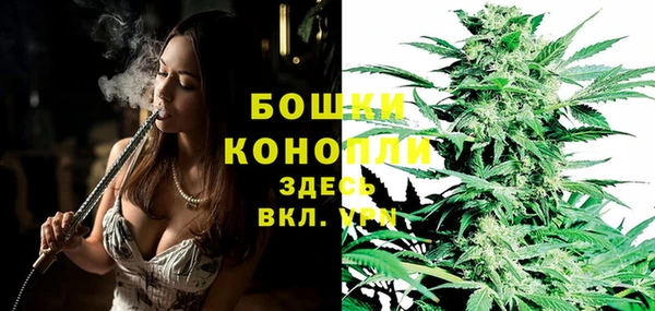 дживик Майский