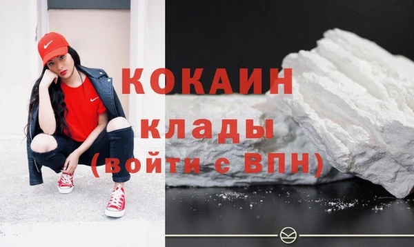 дживик Майский