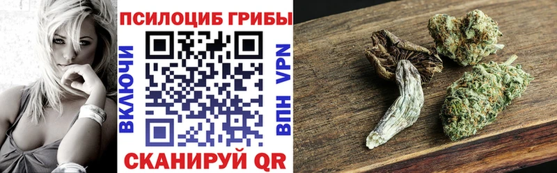 kraken рабочий сайт  Макаров  Галлюциногенные грибы GOLDEN TEACHER 
