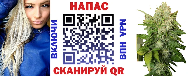 OMG зеркало  Макаров  Шишки марихуана семена 